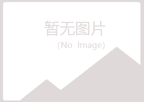 偃师映波采矿有限公司